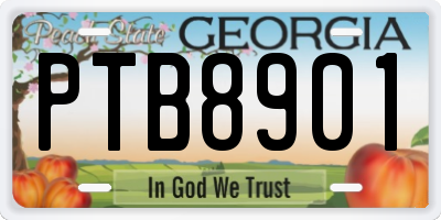 GA license plate PTB8901