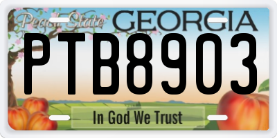 GA license plate PTB8903