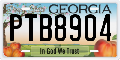 GA license plate PTB8904