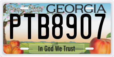 GA license plate PTB8907
