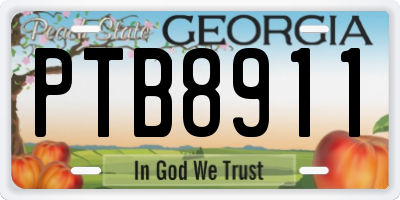 GA license plate PTB8911