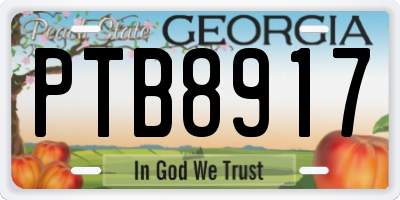 GA license plate PTB8917