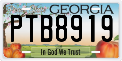 GA license plate PTB8919