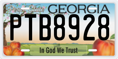 GA license plate PTB8928