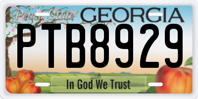 GA license plate PTB8929