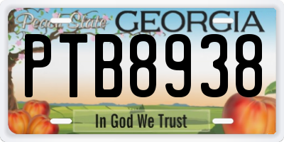 GA license plate PTB8938