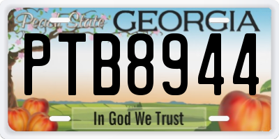 GA license plate PTB8944