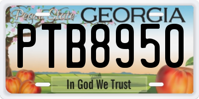 GA license plate PTB8950