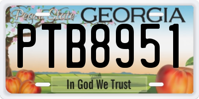 GA license plate PTB8951
