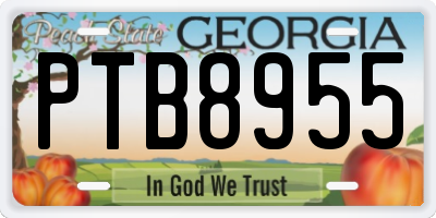 GA license plate PTB8955