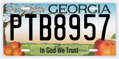GA license plate PTB8957