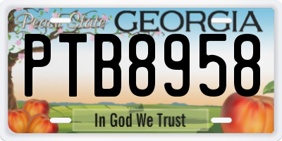GA license plate PTB8958