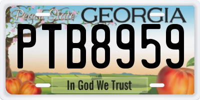 GA license plate PTB8959