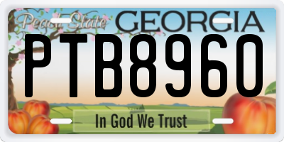 GA license plate PTB8960