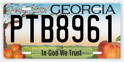 GA license plate PTB8961
