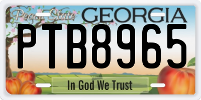 GA license plate PTB8965