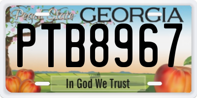 GA license plate PTB8967