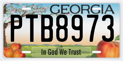 GA license plate PTB8973