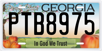 GA license plate PTB8975