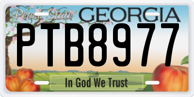 GA license plate PTB8977