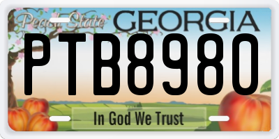 GA license plate PTB8980