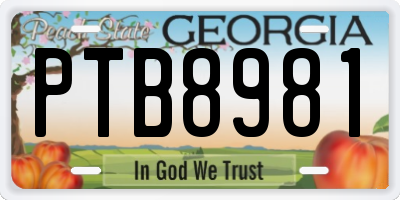 GA license plate PTB8981