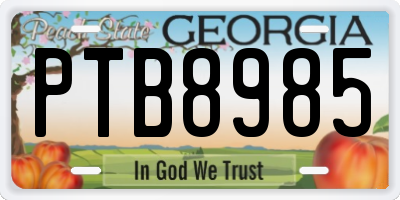 GA license plate PTB8985