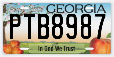 GA license plate PTB8987