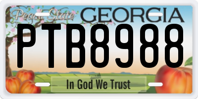 GA license plate PTB8988