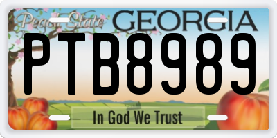 GA license plate PTB8989