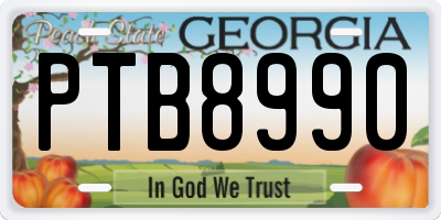 GA license plate PTB8990