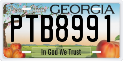 GA license plate PTB8991