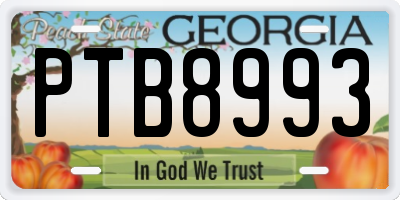 GA license plate PTB8993