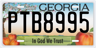 GA license plate PTB8995