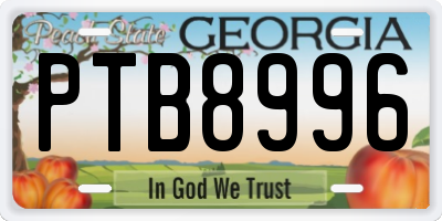 GA license plate PTB8996