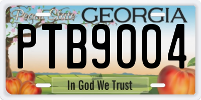 GA license plate PTB9004