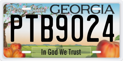 GA license plate PTB9024