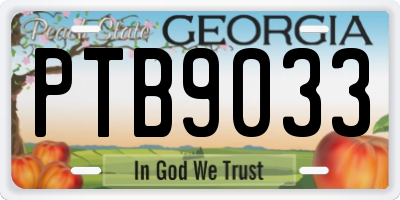 GA license plate PTB9033