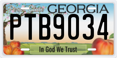 GA license plate PTB9034
