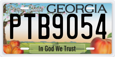 GA license plate PTB9054