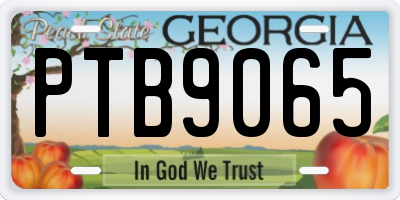GA license plate PTB9065