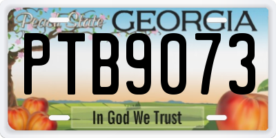 GA license plate PTB9073