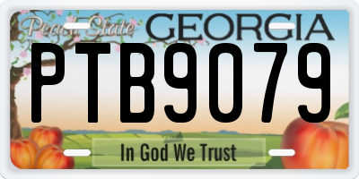 GA license plate PTB9079