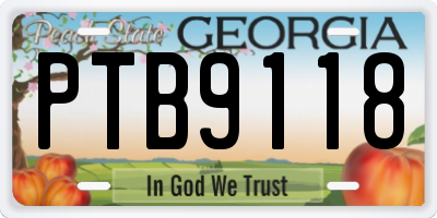GA license plate PTB9118