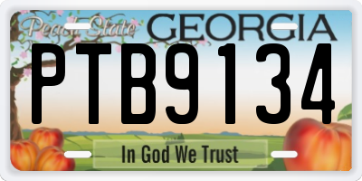 GA license plate PTB9134