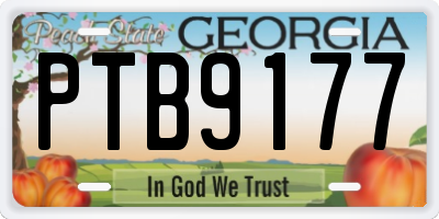 GA license plate PTB9177