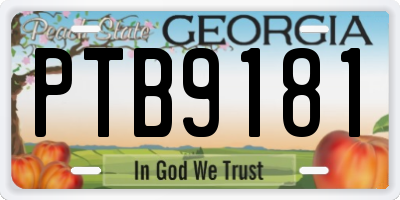 GA license plate PTB9181