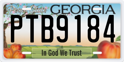 GA license plate PTB9184