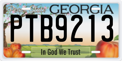 GA license plate PTB9213