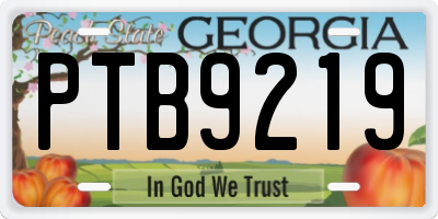 GA license plate PTB9219